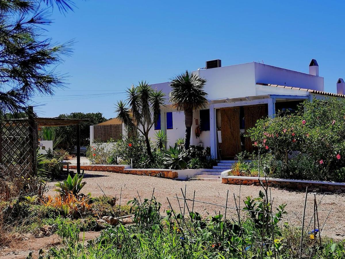 Ca N'Antonia Formentera Vila San Francisco Javier Exterior foto